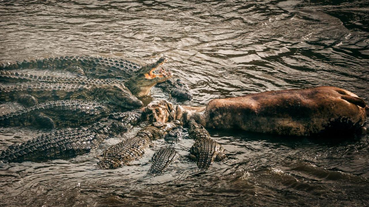 Enkusero Mara Aitong Zewnętrze zdjęcie